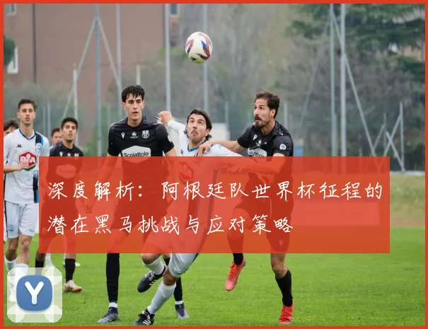 深度解析:阿根廷队世界杯征程的潜在黑马挑战与应对策略